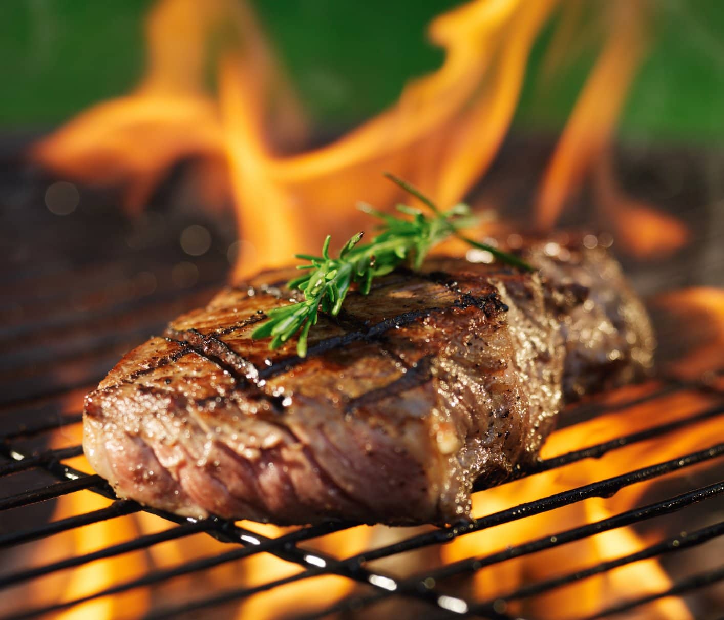 Grillages au barbecue